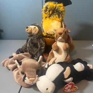Lot of 5 Ty Beanie Babies